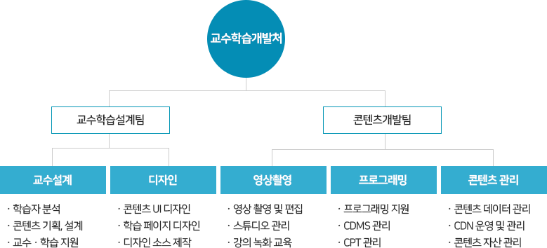교수학습개발처 조직도